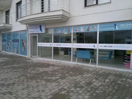 İncek Petlife Veteriner Kliniği - 1. Fotoğraf İncek Petlife Veteriner Kliniği - 1. Fotoğraf